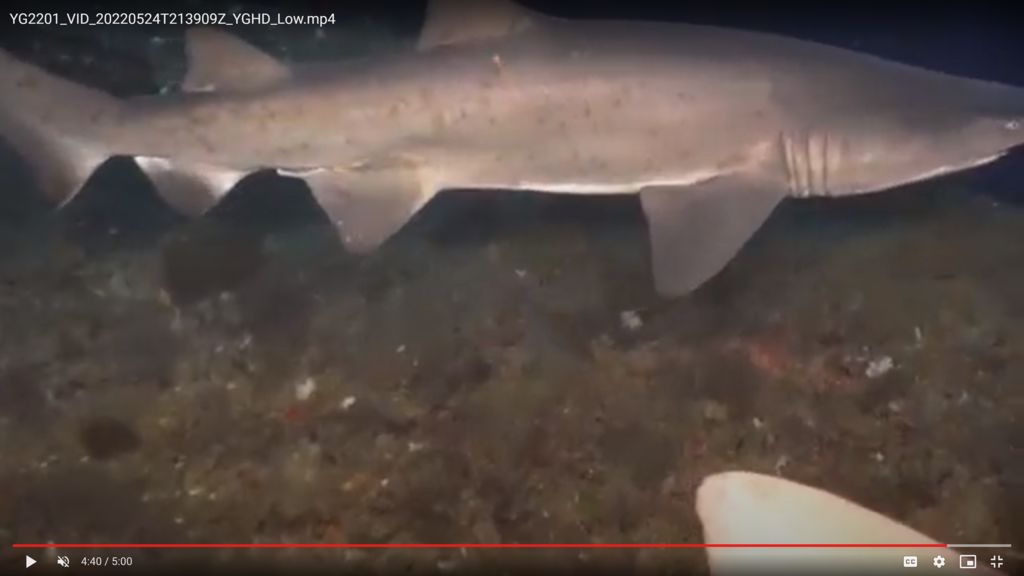 0b6b2e5b-4314-48b9-8e53-33e2a6c614e6