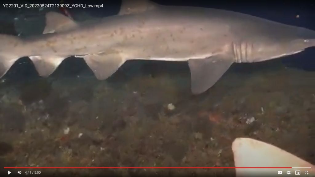 0b6b2e5b-4314-48b9-8e53-33e2a6c614e6