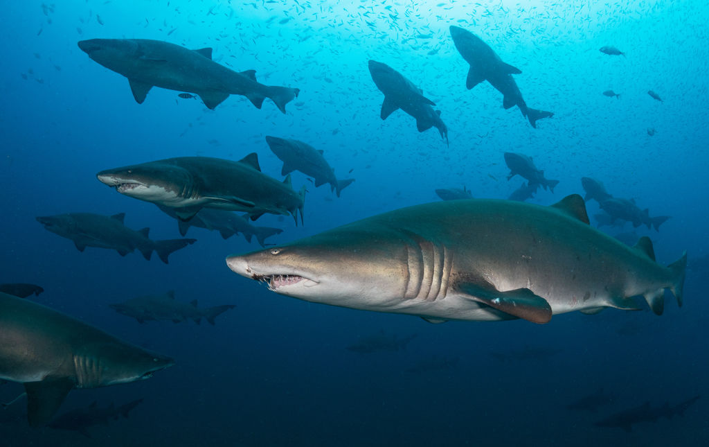 6c3a673f-a425-48c2-b3ce-0ceda544c22c