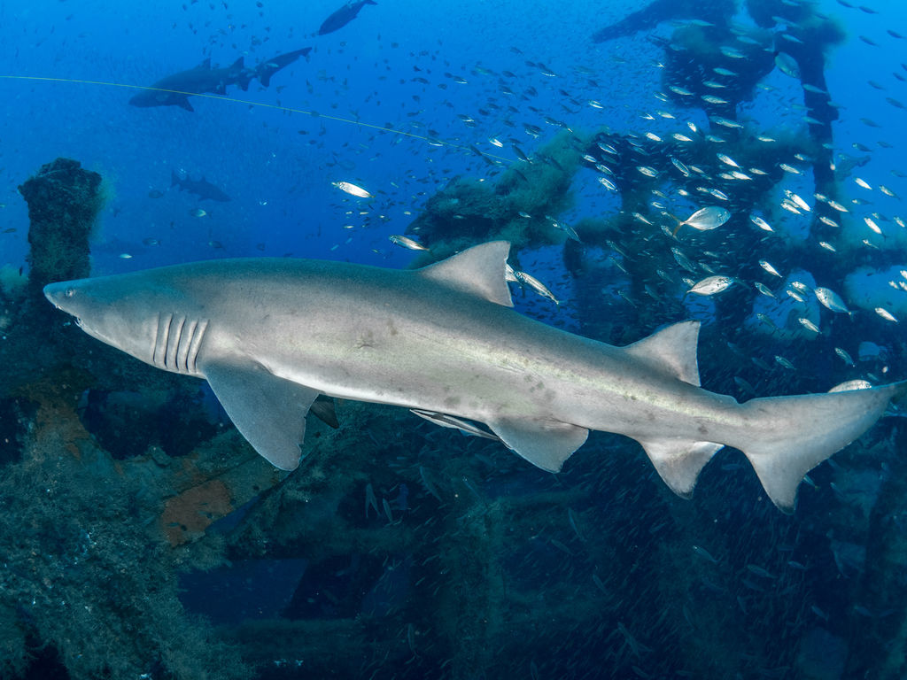 c121b161-2905-4534-872a-24d5028dd83e