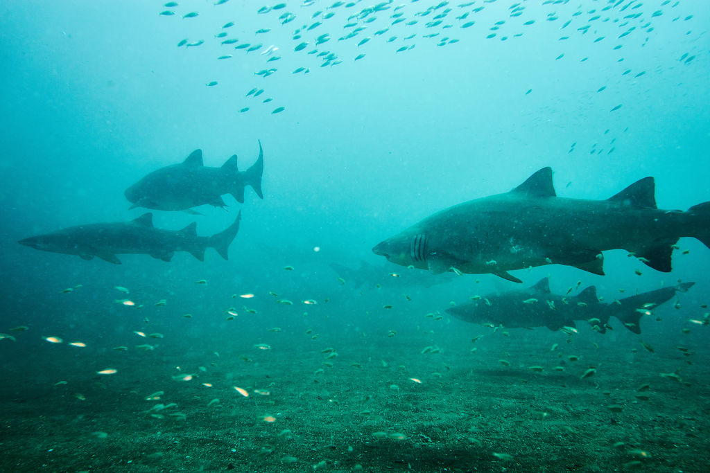 459ce1da-8c49-4e52-b747-6230ab032f2d