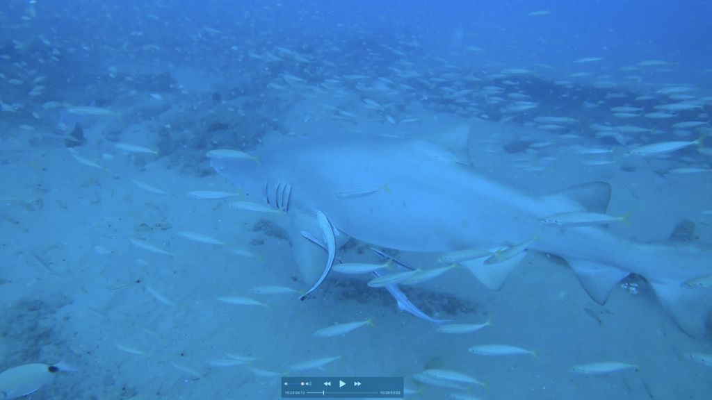 e912b36f-6781-44f5-b4cf-27cf4ee5e80e