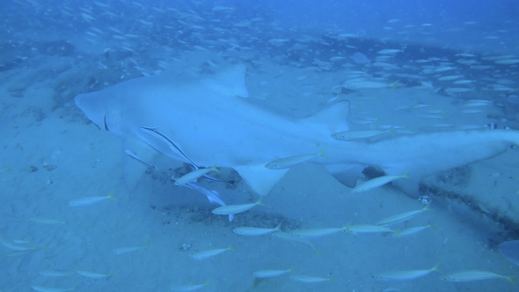 e912b36f-6781-44f5-b4cf-27cf4ee5e80e