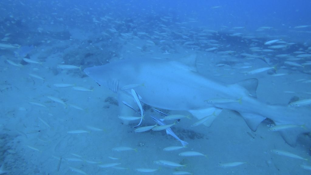 e912b36f-6781-44f5-b4cf-27cf4ee5e80e