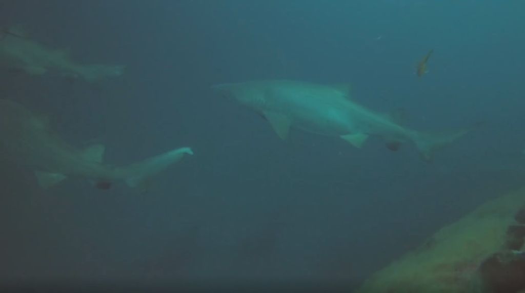 0da7a2a4-6d87-4ae3-848f-ea1ab4073de7