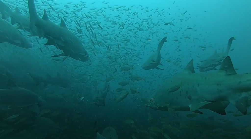 9a827a0c-0e3c-47b1-a989-246c8d687bee