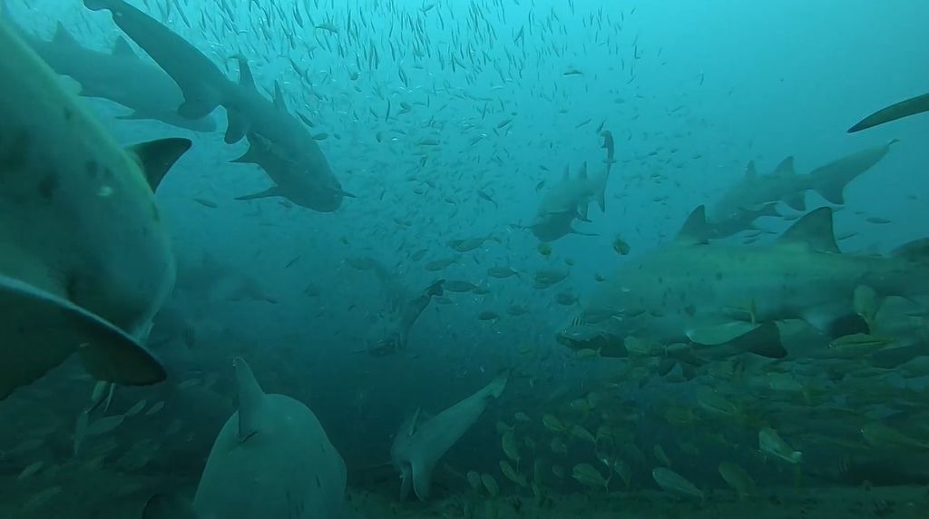 9a827a0c-0e3c-47b1-a989-246c8d687bee