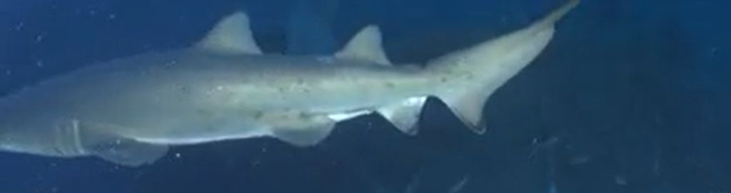 61a7cfc8-0055-4aba-b442-a436de43ad4a