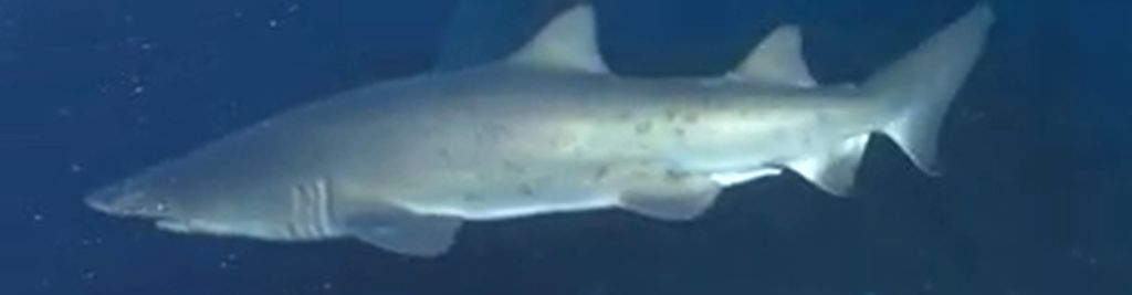 61a7cfc8-0055-4aba-b442-a436de43ad4a