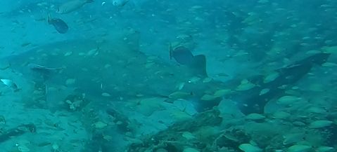 f628d090-ecd1-400f-8d11-9d20f067fd26