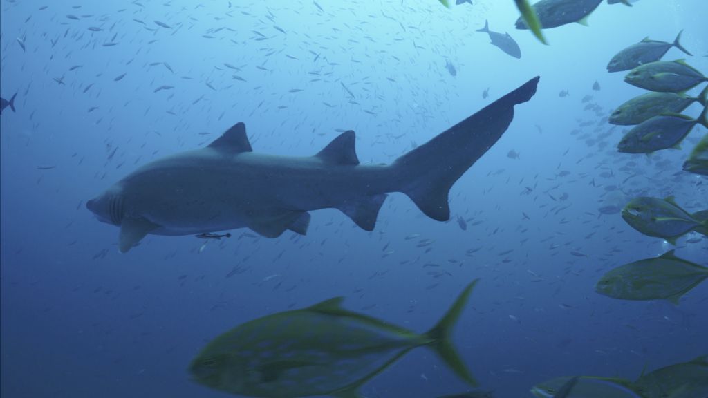 cb050d89-bc78-4d71-a8d5-41237800bc1a