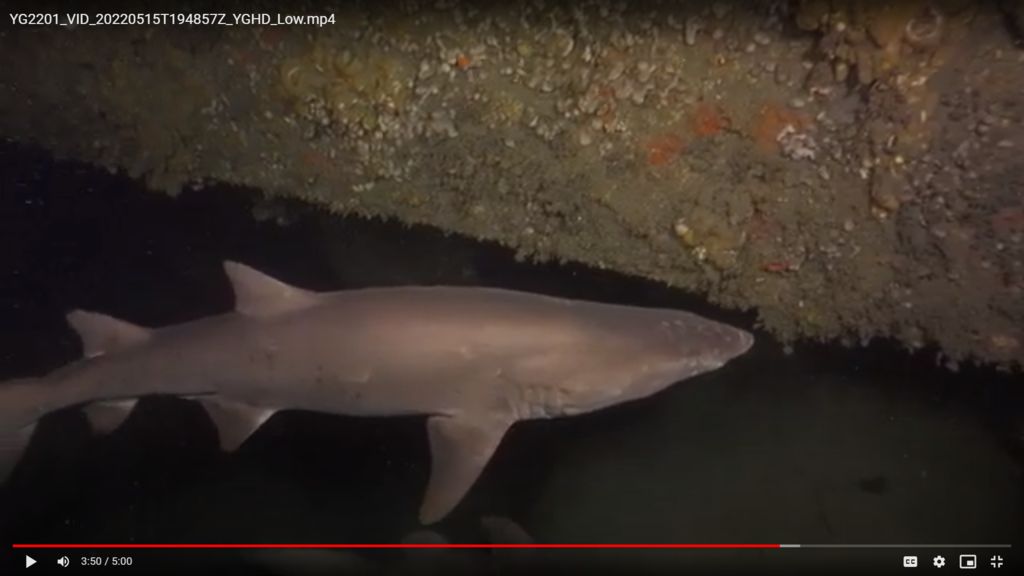 e2da4a81-67b5-4588-a68c-6e60ea22cb99