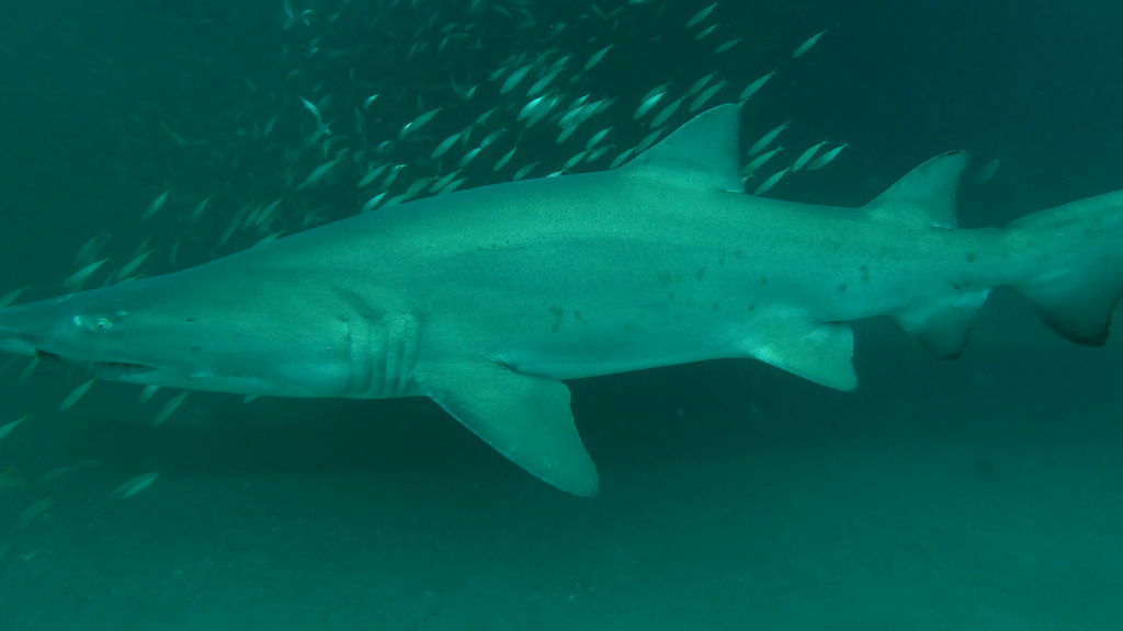 a57c0d60-e3b0-48d9-9c3e-2eb81c5d9d3e