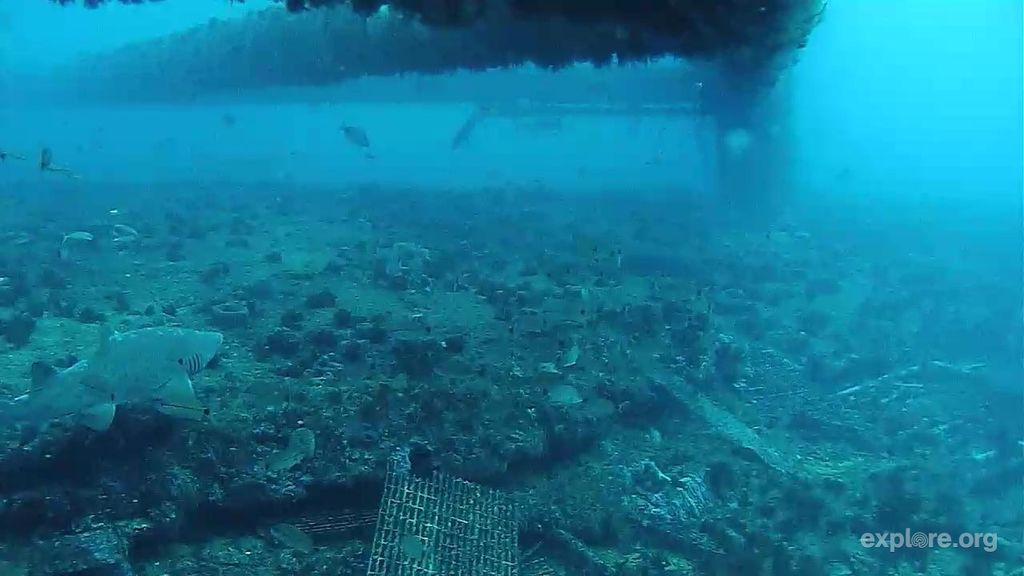 54b3383f-24e4-4e52-97f3-2483627d711c