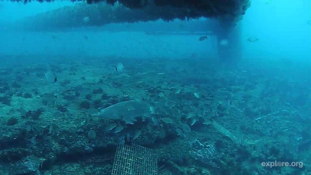 54b3383f-24e4-4e52-97f3-2483627d711c