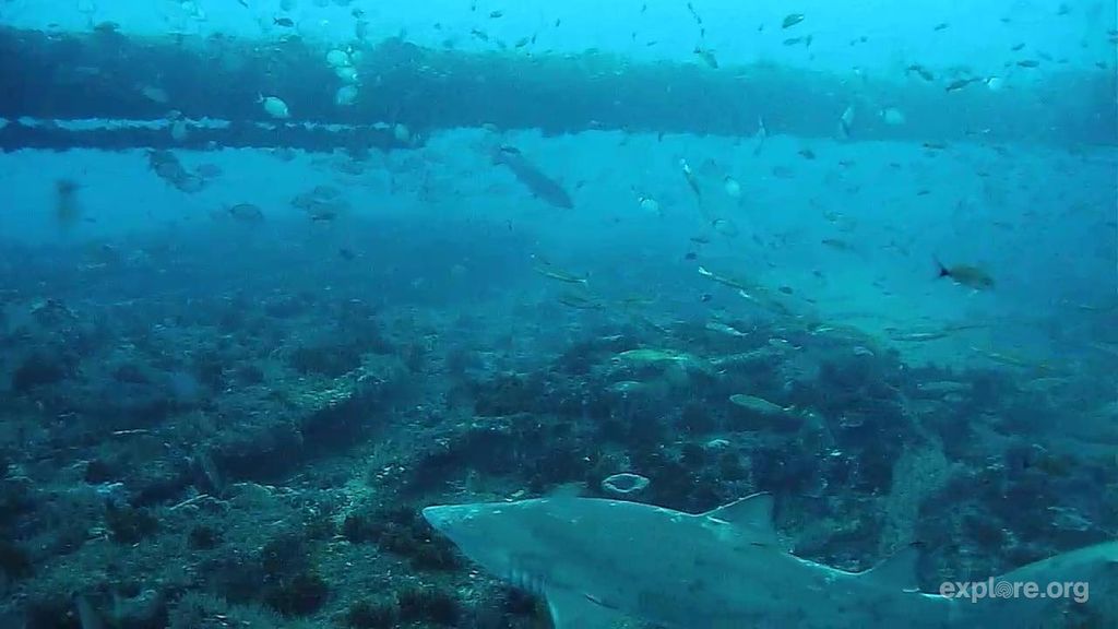 54b3383f-24e4-4e52-97f3-2483627d711c