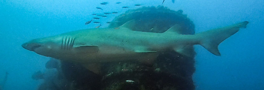 0627800a-179c-40b9-a4ff-76a0602a36c6