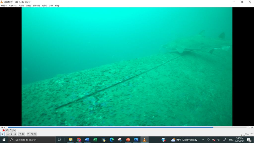 d3269744-fa1d-46ba-ac55-7200b5342e83