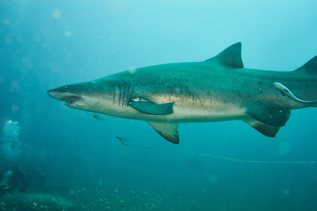 16437c86-3a04-48b1-a0cd-764e20d3c4be