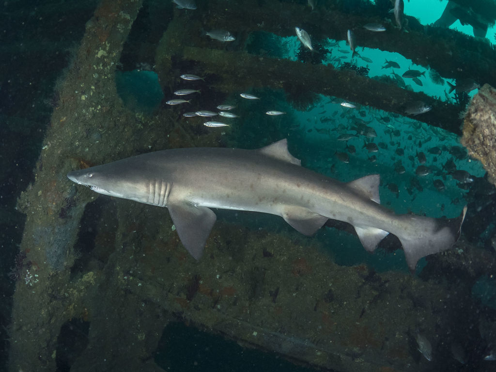 8dd20976-cb57-4db6-978a-590ddb9e1c8d