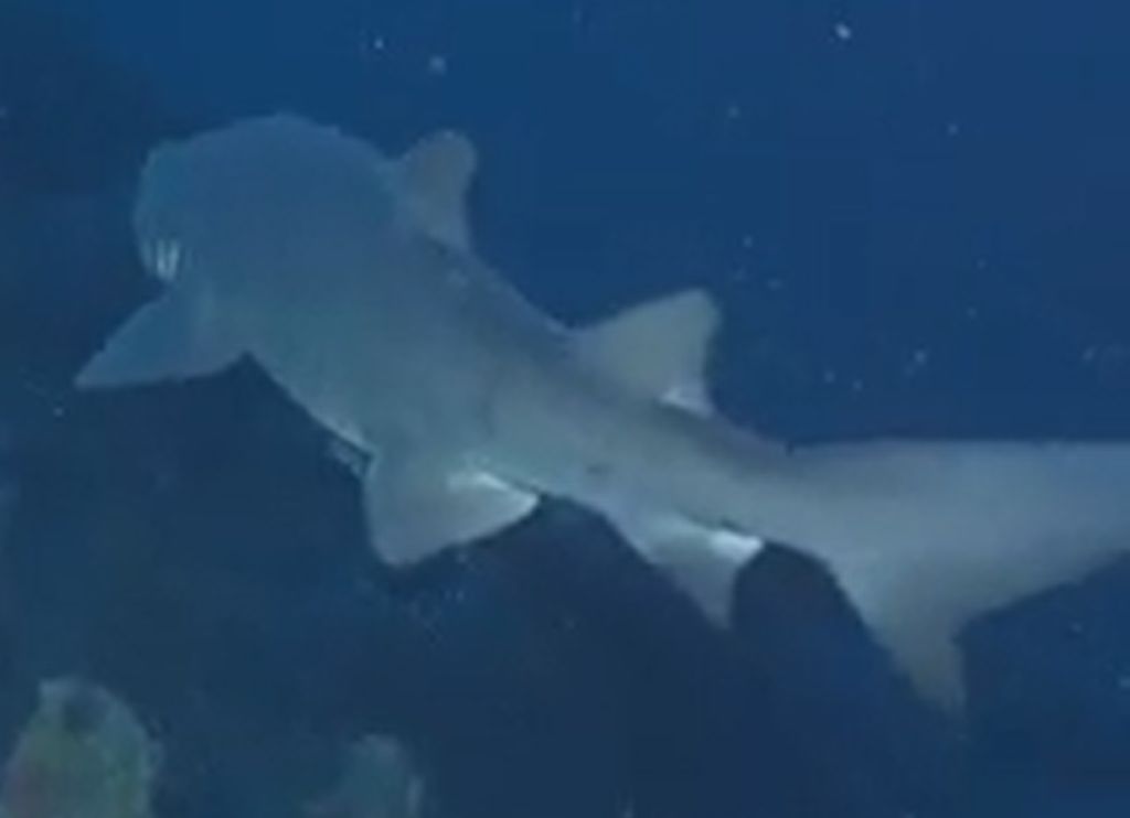 fb6068ba-60d8-400d-b137-35c9e36217b2