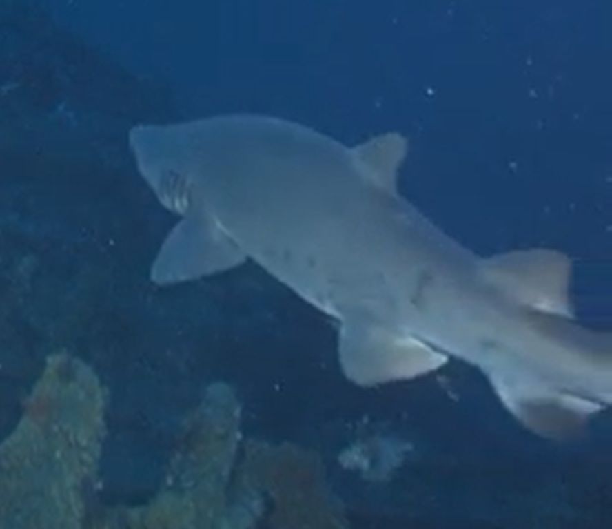 fb6068ba-60d8-400d-b137-35c9e36217b2