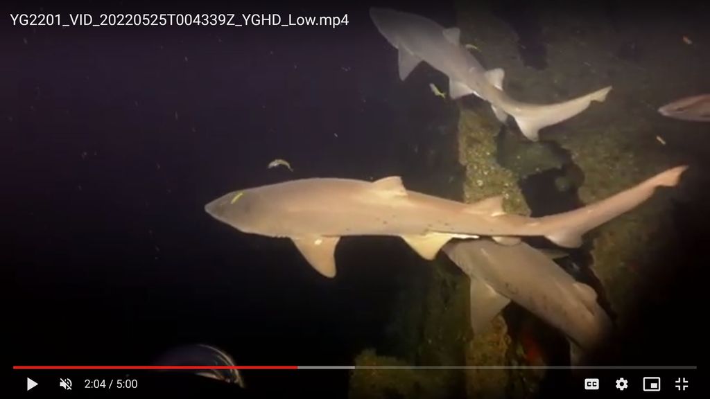 30acf82e-5b6b-43f8-aba0-e14685e418cc