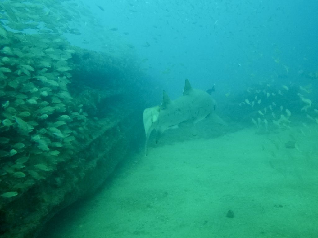 b71219ab-ea60-49ef-8e2b-f30b9a7b132b