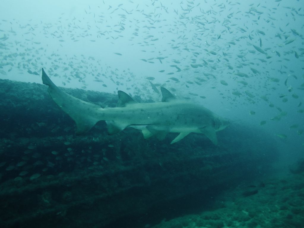 b71219ab-ea60-49ef-8e2b-f30b9a7b132b