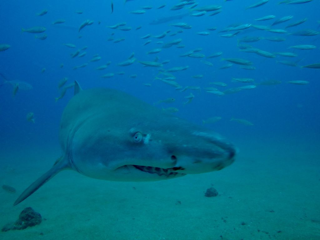 b71219ab-ea60-49ef-8e2b-f30b9a7b132b