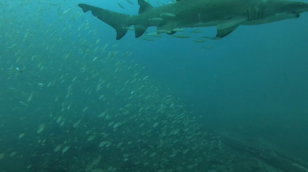 71253559-8207-418e-90e5-3938c23719bf