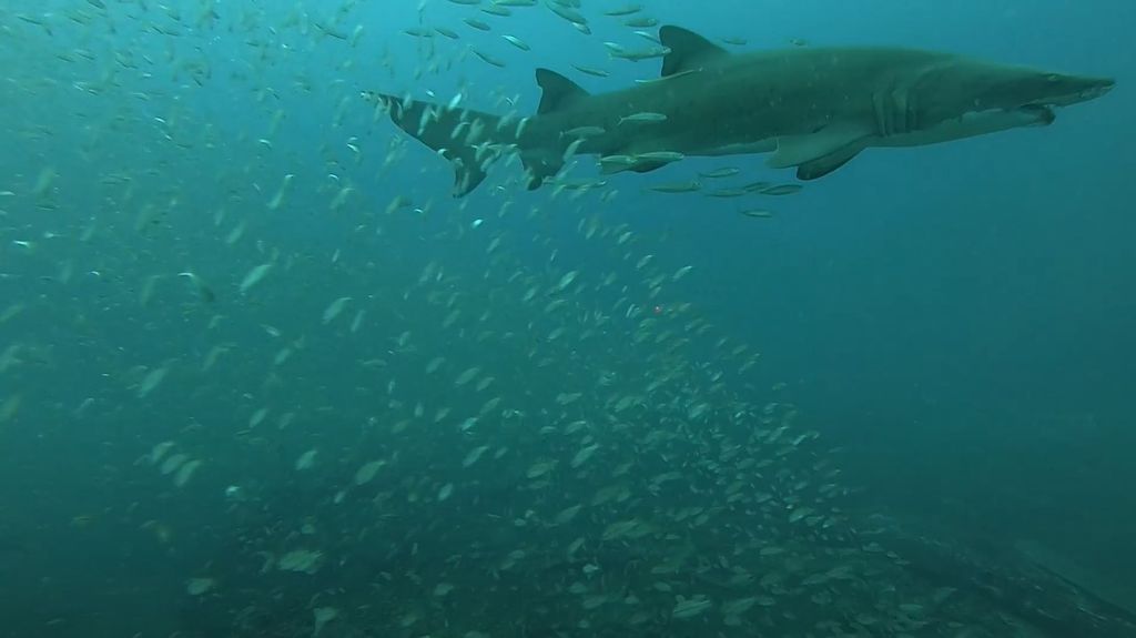 71253559-8207-418e-90e5-3938c23719bf