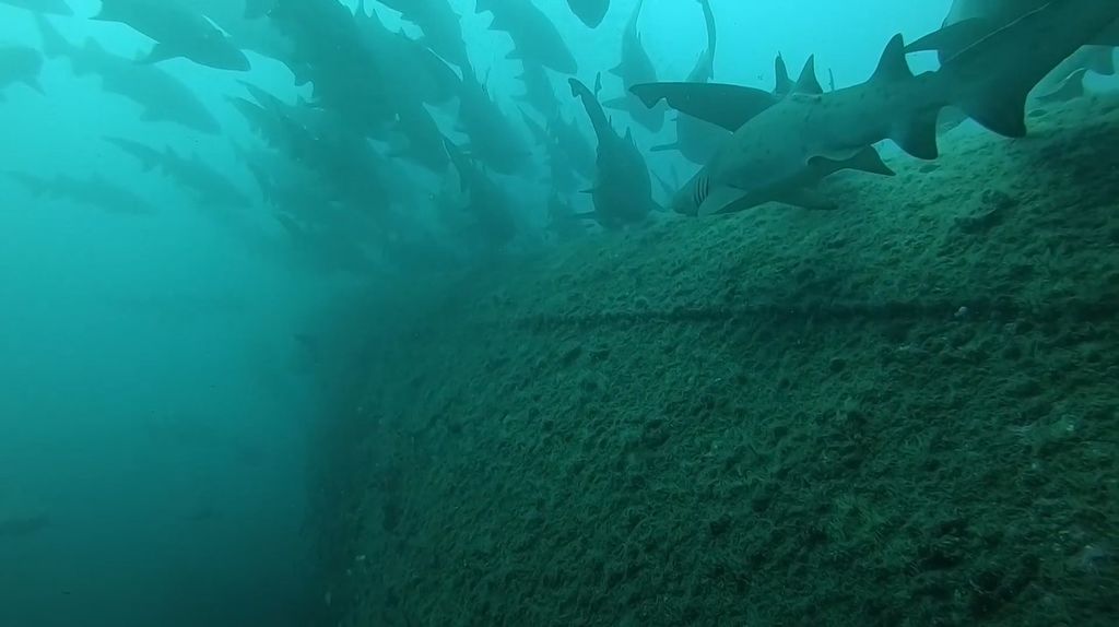 2384c032-1b53-4686-a04f-97b2c262079c