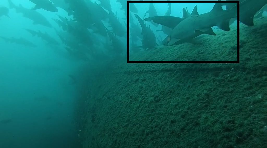 2384c032-1b53-4686-a04f-97b2c262079c