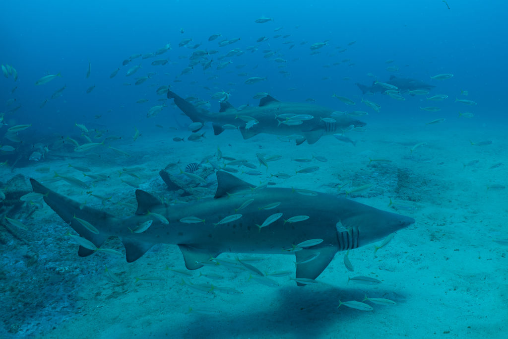 e569316d-b655-41f6-89fe-11865709f544