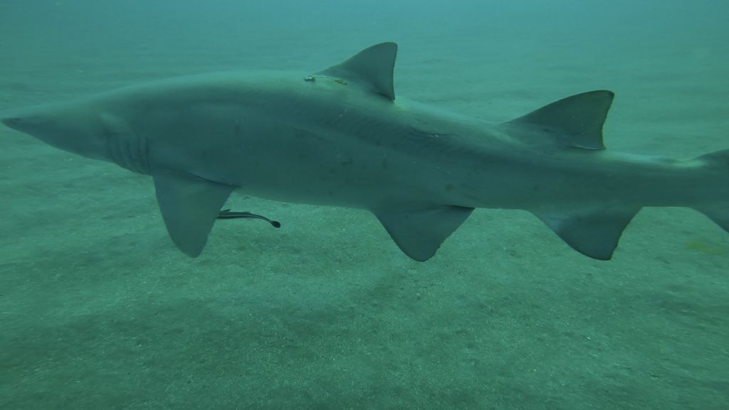 a845449c-aed0-4ada-8437-df9a42203f7b