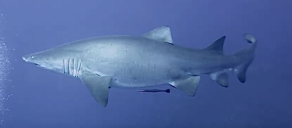 b7a58e0b-155c-4142-9684-cbe78db95546