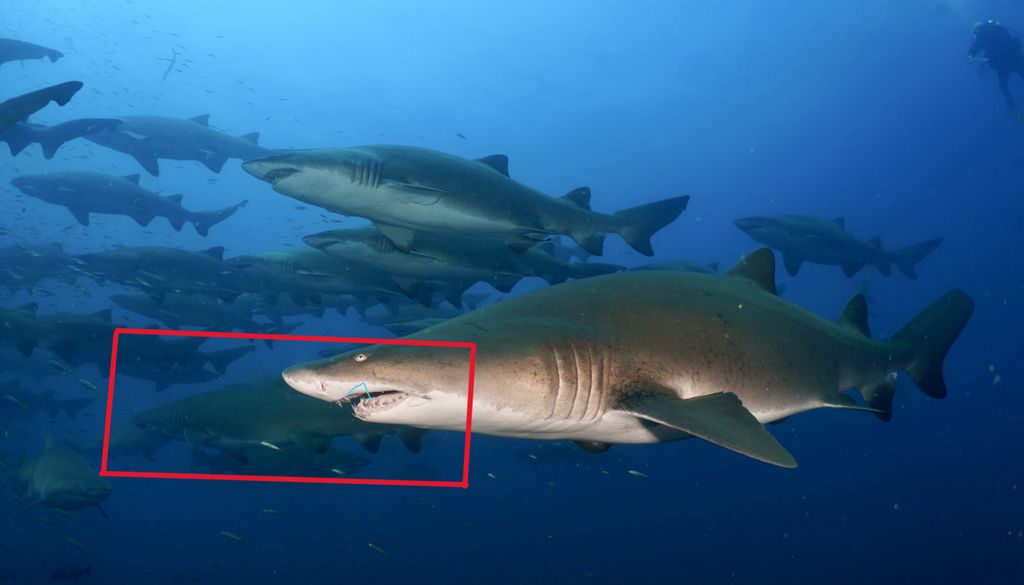 de2b30c2-b167-4304-9d31-25075f72beba