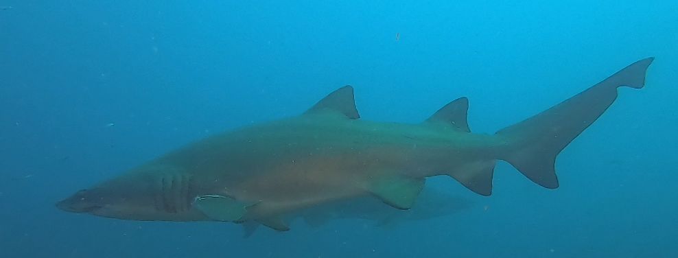 0571201d-9c73-40a4-9719-82208cbf6954