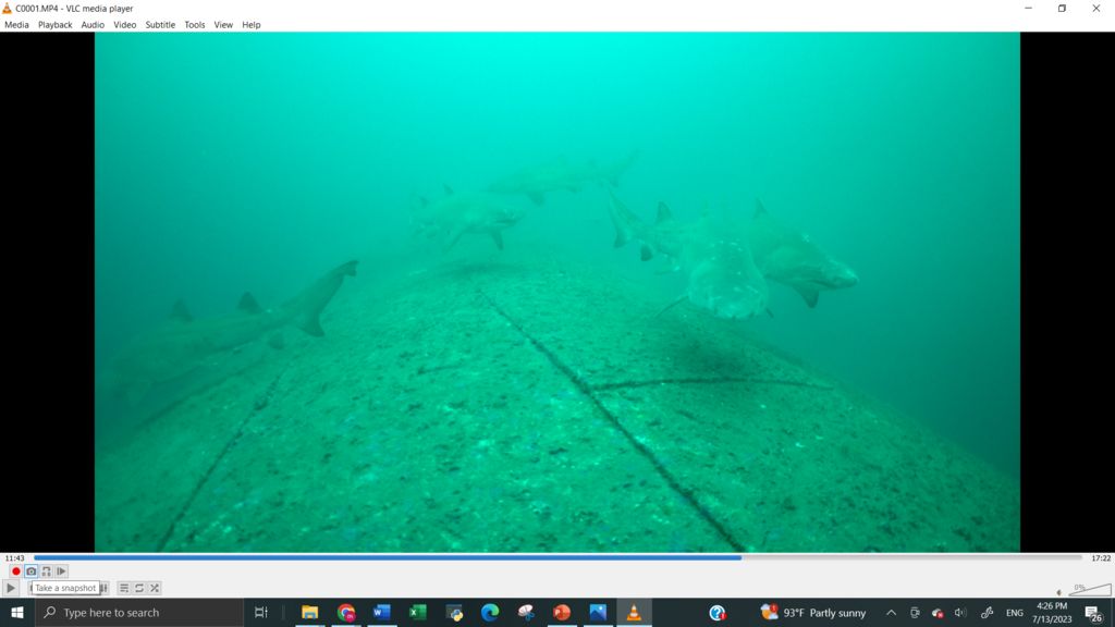 c0a57e81-1e8b-47db-b6e2-6eadfc1ed308