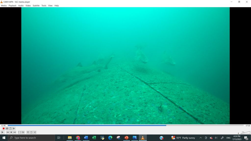 c0a57e81-1e8b-47db-b6e2-6eadfc1ed308