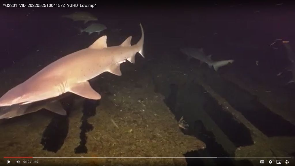 7cfe14c3-0b5b-4260-b422-b482c9fb283f