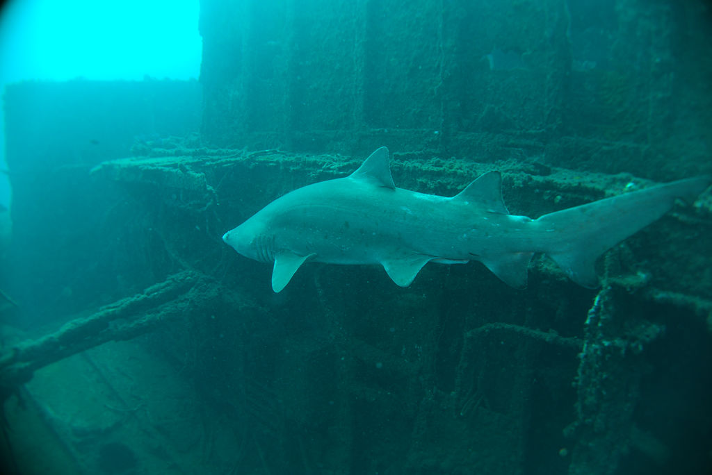 c4952774-59e1-4fcc-b1c2-e82b6ccef8ff