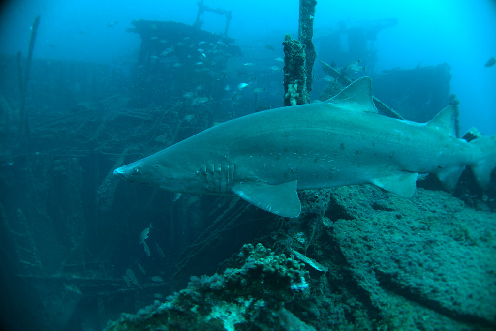 c4952774-59e1-4fcc-b1c2-e82b6ccef8ff