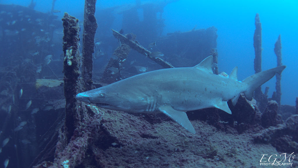 c4952774-59e1-4fcc-b1c2-e82b6ccef8ff