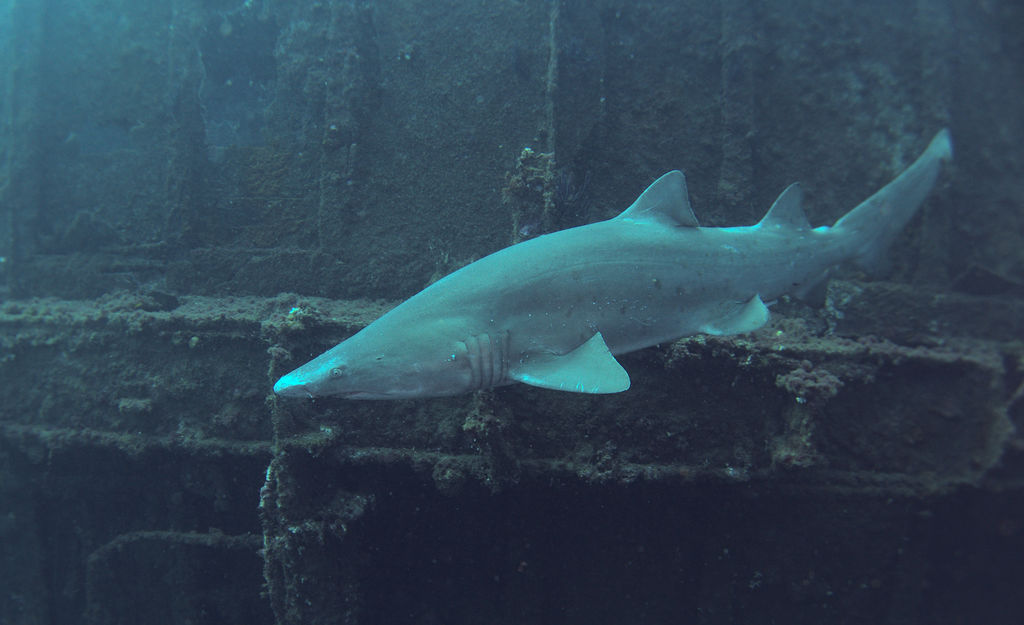 c4952774-59e1-4fcc-b1c2-e82b6ccef8ff