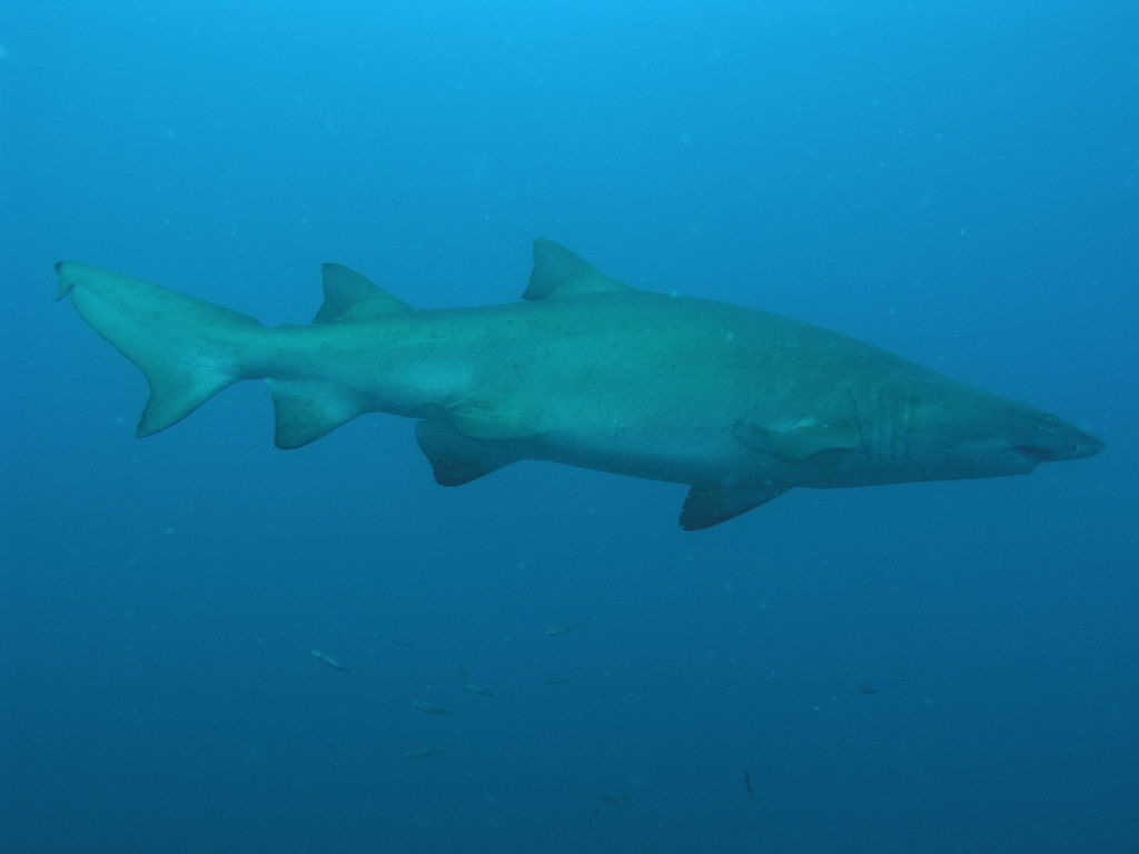 add341f9-25ea-4a25-829c-c255ebc43295