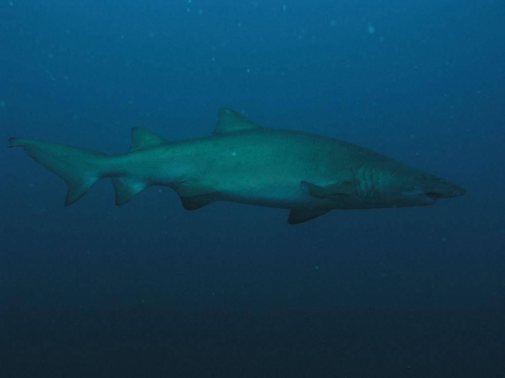 add341f9-25ea-4a25-829c-c255ebc43295