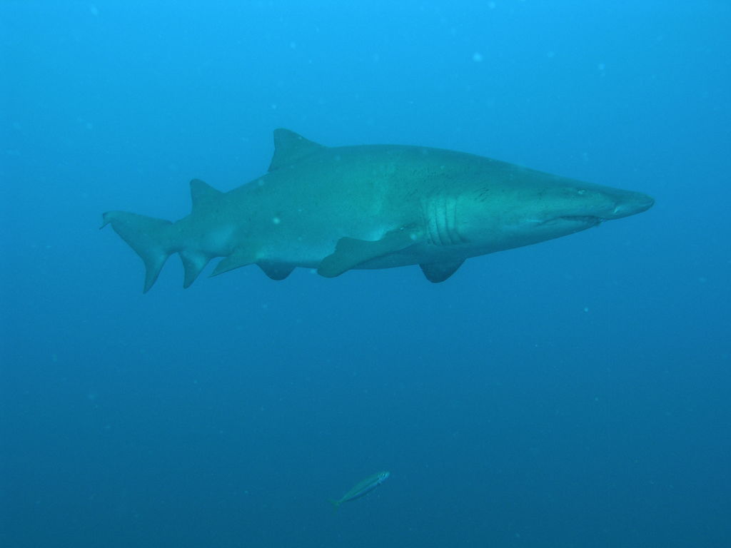 add341f9-25ea-4a25-829c-c255ebc43295