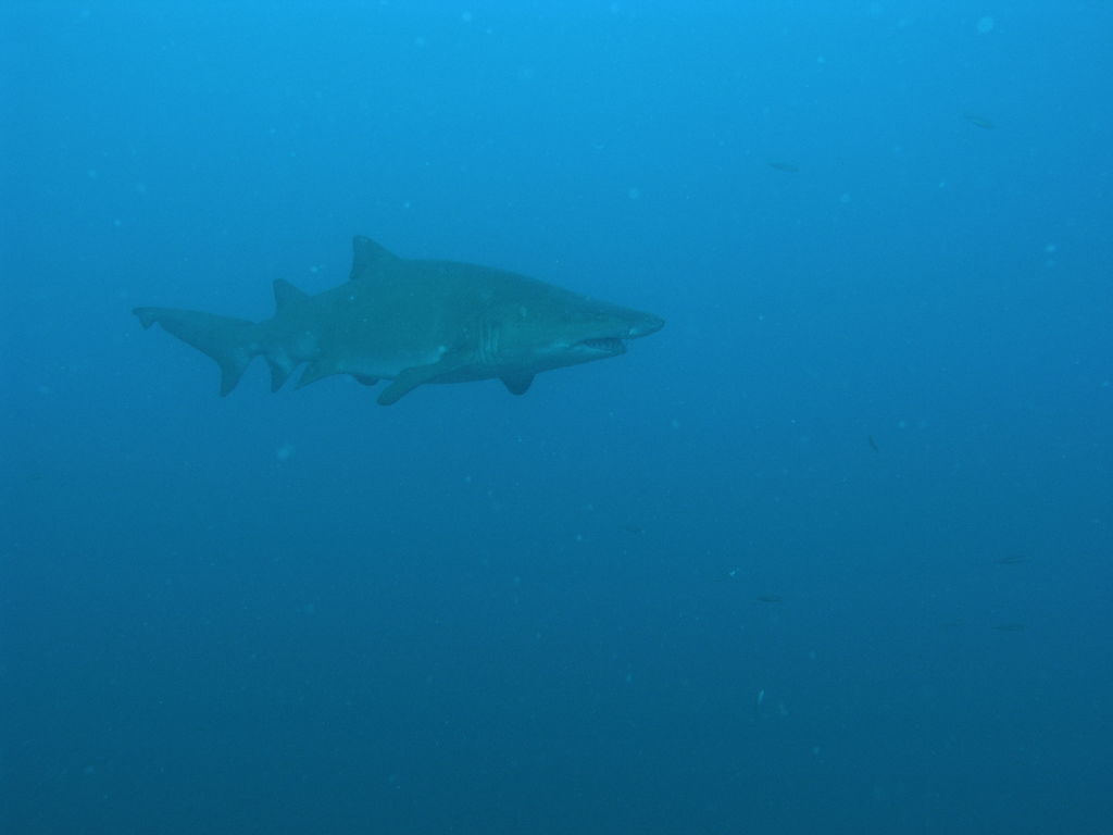 add341f9-25ea-4a25-829c-c255ebc43295